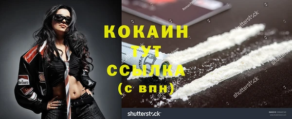 а пвп мука Инсар
