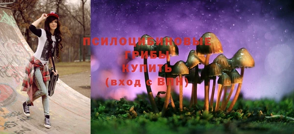 а пвп мука Инсар