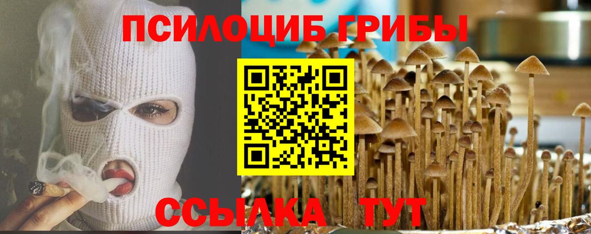 Кумертау  Галлюциногенные грибы Psilocybe  Вход с VPN 